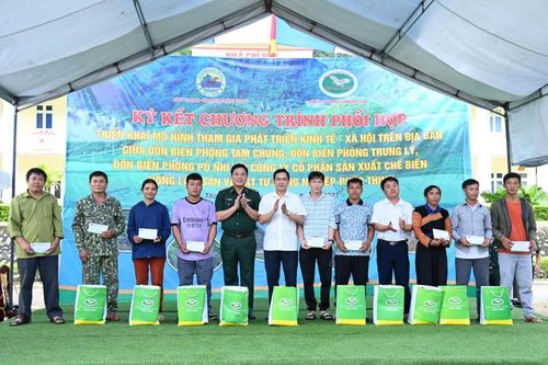 BĐBP Thanh Hóa phối hợp triển khai mô hình trồng sắn năng suất cao tại huyện biên giới Mường Lát