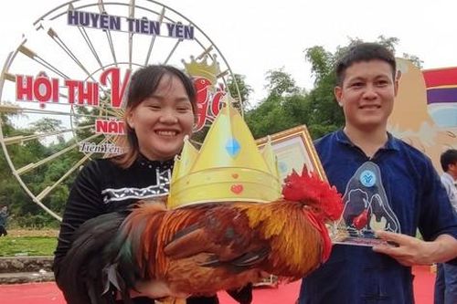 'Vua gà Tiên Yên' - cuộc thi có một không hai