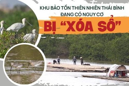 Chi tiết khu bảo tồn thiên nhiên ở Thái Bình đang có nguy cơ bị 'xóa sổ'