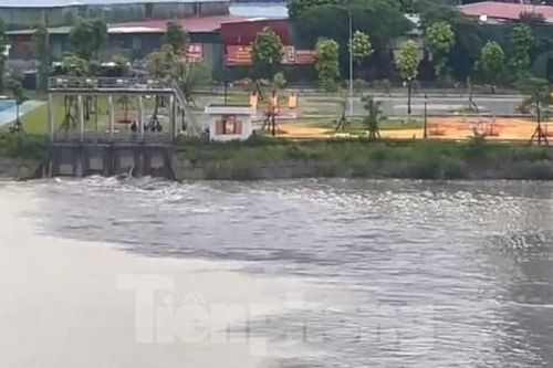 Hãi hùng với dòng nước thải đen kịt đổ thẳng vào hồ điều hòa rộng 19 ha ở Hà Nội