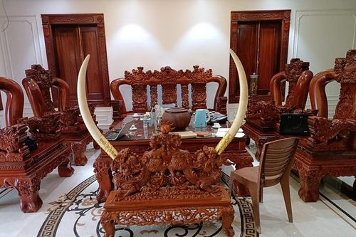 Hiệu quả công tác xử lý thông tin vụ việc về động vật hoang dã do người dân thông báo