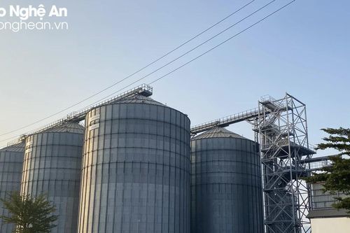 Phát triển nhiên liệu sinh khối chưa tương xứng tiềm năng