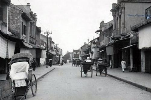 Cây bàng lá đỏ chợ xưa