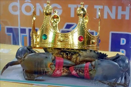 Nhận diện những nút thắt để 'cởi trói' cho thương hiệu Cua Cà Mau