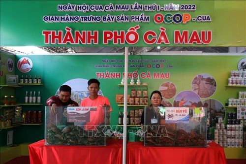 Xây dựng thương hiệu cua Cà Mau - Bài cuối: Tạo đà phát triển