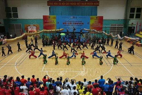 Trên 400 VĐV tham gia Giải vô địch các Câu lạc bộ Võ cổ truyền quốc gia