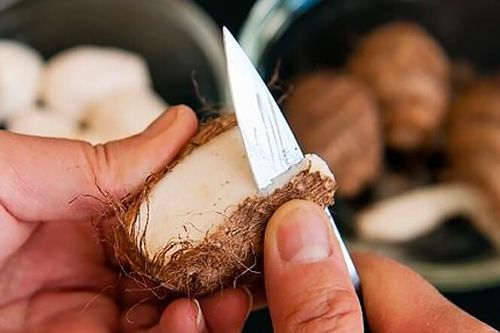 Mẹo gọt khoai sọ không bị ngứa cực hữu ích và cách xử lý nếu lỡ bị ngứa tay