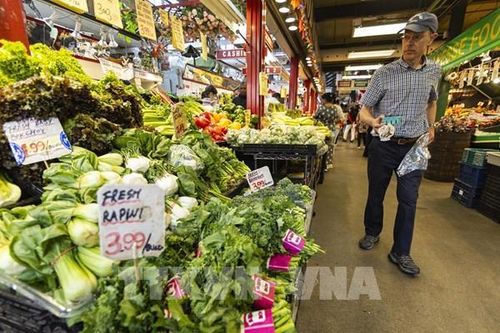 Lợi và hại của Đạo luật giảm phát đối với Canada