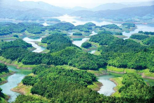 Hơi thở Tây Nguyên