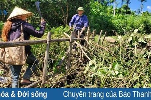 Ấm tình khu Buốn