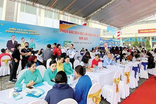 Sàn giao dịch việc làm: Cần được kết nối đồng bộ