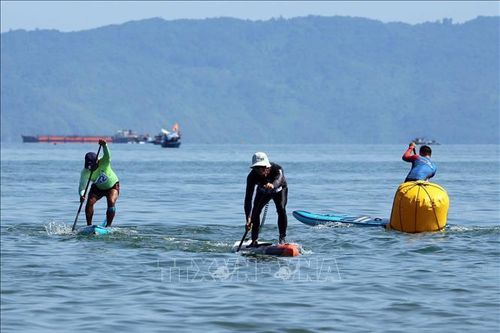 Sôi nổi giải Sailing vô địch trẻ quốc gia và Sup - Cup vô địch các tay chèo xuất sắc