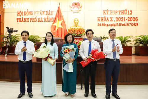 Chính phủ phê chuẩn bầu, miễn nhiệm chức vụ Phó Chủ tịch UBND thành phố