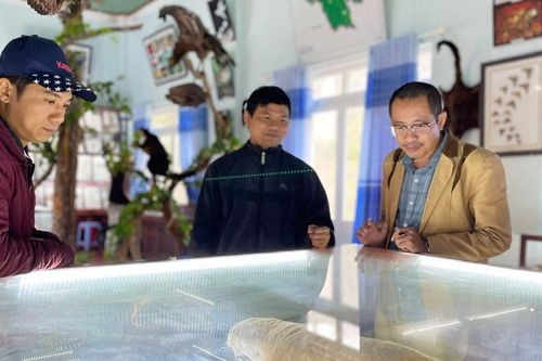Phòng-chống tội phạm đa dạng sinh học: 'Cuộc chiến' vì tương lai