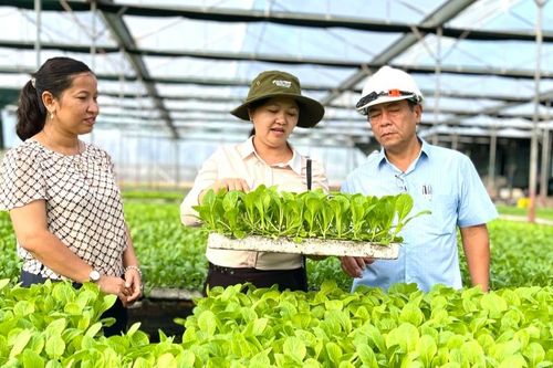 Thu hút các nguồn lực đầu tư phát triển nông nghiệp bền vững