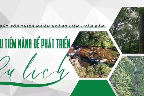 Khu Bảo tồn thiên nhiên Hoàng Liên - Văn Bàn: Nhiều tiềm năng để phát triển du lịch
