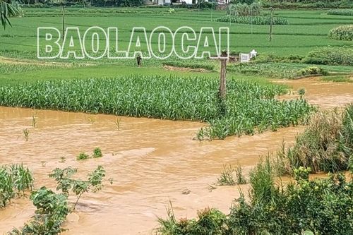 Lào Cai: Mưa lũ khiến hàng nghìn khối đất đá sụt lấp đường giao thông