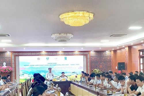 Diễn đàn 'Nông dân sản xuất, kinh doanh giỏi khởi nghiệp đổi mới, sáng tạo'