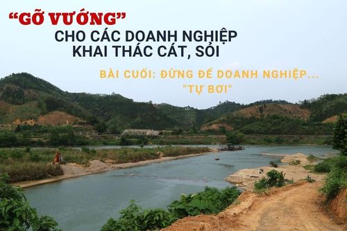 Bài cuối: Đừng để doanh nghiệp... 'tự bơi'