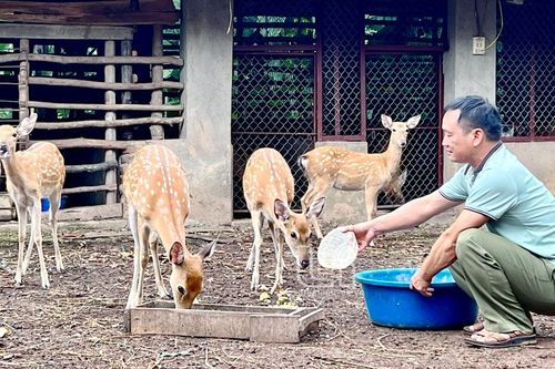 Đưa khoa học - kỹ thuật vào mô hình V-A-C truyền thống