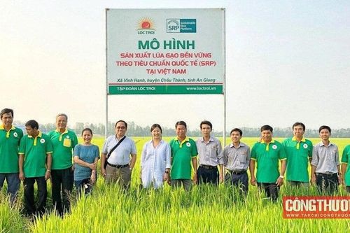 Tập đoàn Lộc Trời: Sẽ phát hành hơn 20 triệu cổ phiếu LTG trả cổ tức, báo lãi cao kỷ lục