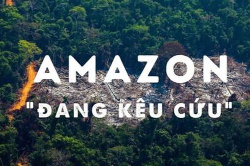 Rừng Amazon - 'Lá phổi xanh của Trái Đất' đang kêu cứu