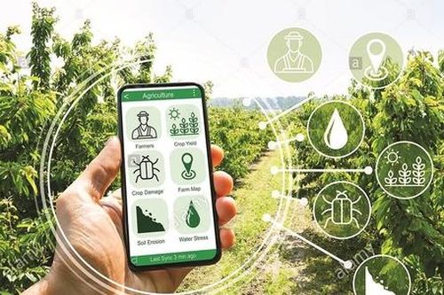 Phát triển nông nghiệp hiện đại từ ứng dụng công nghệ số