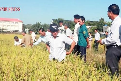 Nét mới trong xây dựng nông thôn mới ở Thanh Bình