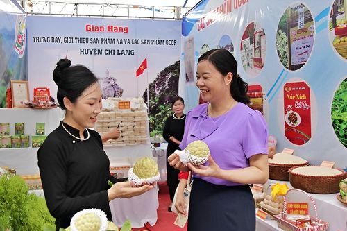 Lạng Sơn: Một quả na dai được đấu giá 220 triệu đồng