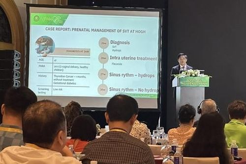 Hơn 1,5 triệu em bé ra đời, có khoảng 10.000-12.000 trẻ mắc bệnh tim bẩm sinh