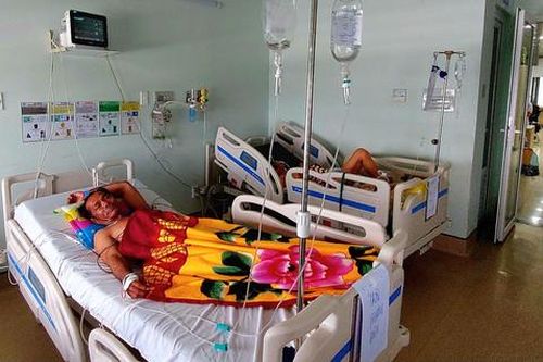 Nghi ngộ độc cá nóc, 1 người tử vong, 2 người nhập viện