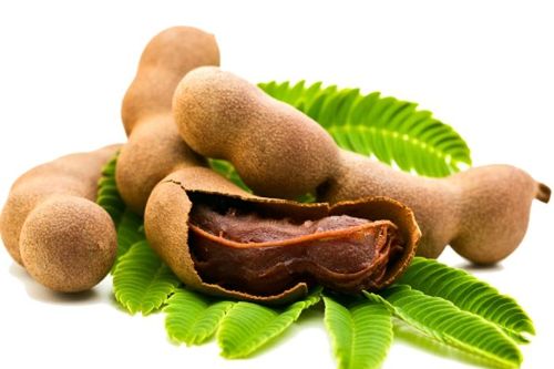 Lợi ích tuyệt vời của quả me ít người biết