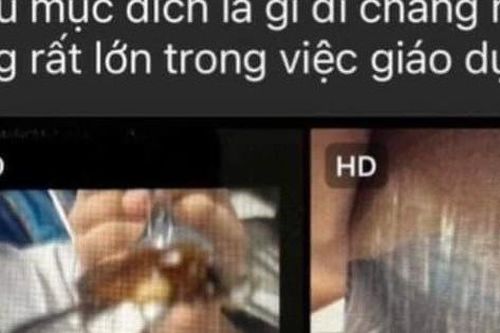 Nhà trường báo cáo gì về việc có côn trùng trong bữa ăn của học sinh?