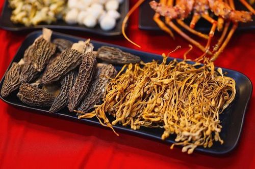 Đầu bếp gia chia sẻ cách làm bánh Trung thu nhân Đông Trùng Hạ Thảo đậu xanh thơm ngon, bổ dưỡng