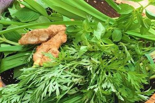 Cách xông hơi trị cảm lạnh mùa mưa bão