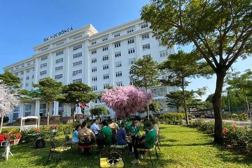 Thí sinh xét tuyển vào ngành sư phạm nhận được thông báo tạm dừng tuyển sinh: Nhà trường nói gì?