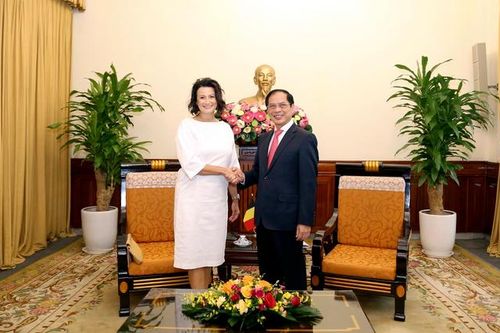 Bộ trưởng Ngoại giao Bùi Thanh Sơn hội kiến Chủ tịch Thượng viện Bỉ Stephanie D'Hose