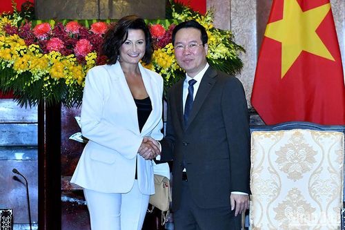 Chủ tịch nước Võ Văn Thưởng tiếp Chủ tịch Thượng viện Vương quốc Bỉ Stephanie D'Hose