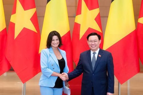 Chủ tịch Quốc hội Vương Đình Huệ đón, hội đàm với Chủ tịch Thượng viện Vương quốc Bỉ