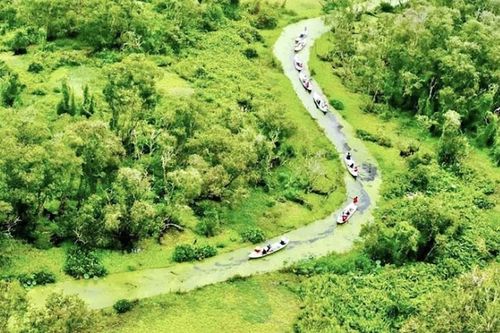 'Lạc trôi vào vùng đất thần tiên' trong rừng tràm Trà Sư