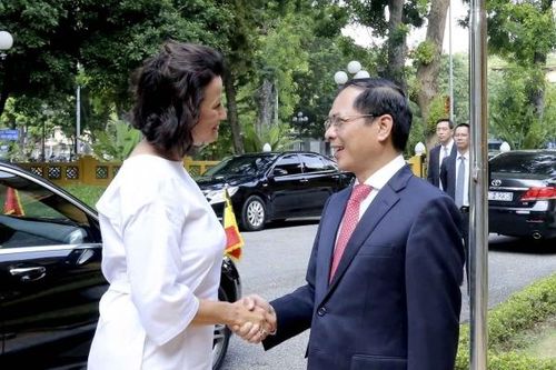 Bộ trưởng Ngoại giao Bùi Thanh Sơn tiếp Chủ tịch Thượng viện Bỉ Stephanie D'Hose