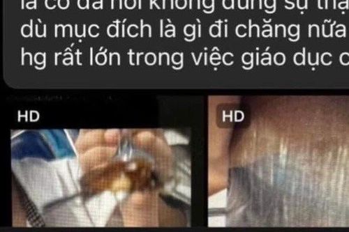 Thực hư thông tin có gián trong đĩa mì Ý của học sinh Trường TH và THCS Newton 5