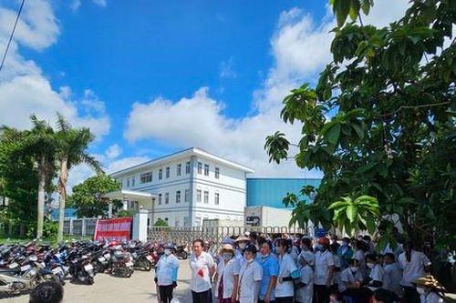 Công nhân đồng loạt nghỉ việc vì bị mùi hôi thối 'tấn công'