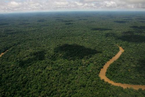 Người dân Ecuador bỏ phiếu đình chỉ khai thác dầu tại khu vực Amazon