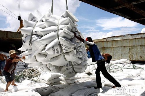 Chuyên gia Đức đánh giá tích cực hiệu quả mang lại sau 3 năm thực hiện EVFTA