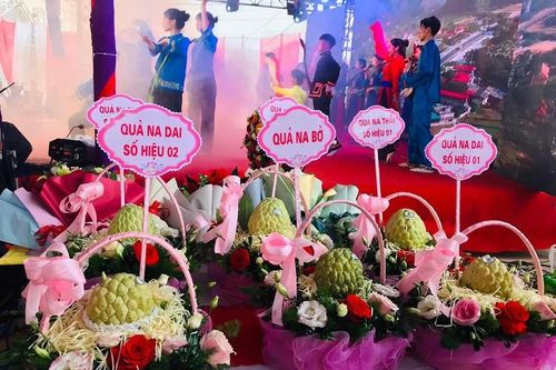 Đắt nhất Việt Nam: 3 quả na Chi Lăng được mua với giá hơn nửa tỷ đồng
