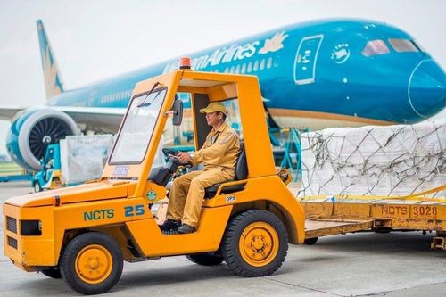 1 triệu cổ phiếu đấu giá của NCT không có nhà đầu tư nào mua