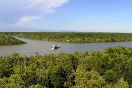 TP Hồ Chí Minh: Đề cử rừng phòng hộ Cần Giờ thành khu Ramsar