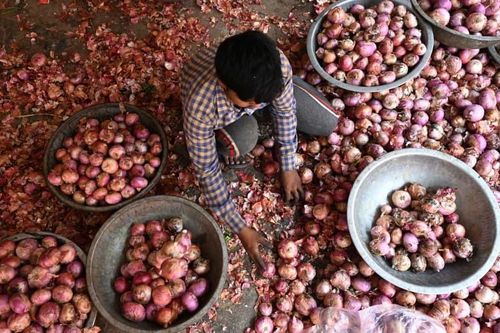 Ấn Độ đánh thuế xuất khẩu 40%, giá hành tây toàn cầu được dự đoán sẽ tăng cao