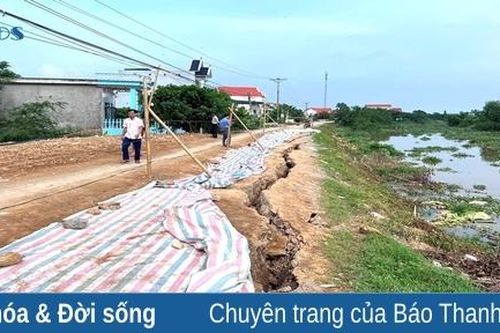 Cận cảnh những vết nứt 'đe dọa' đê tả sông Càn